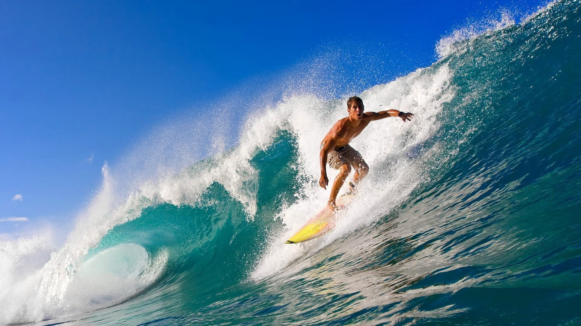 赛道上的棋手，当约基奇遇见F1街道赛之夜