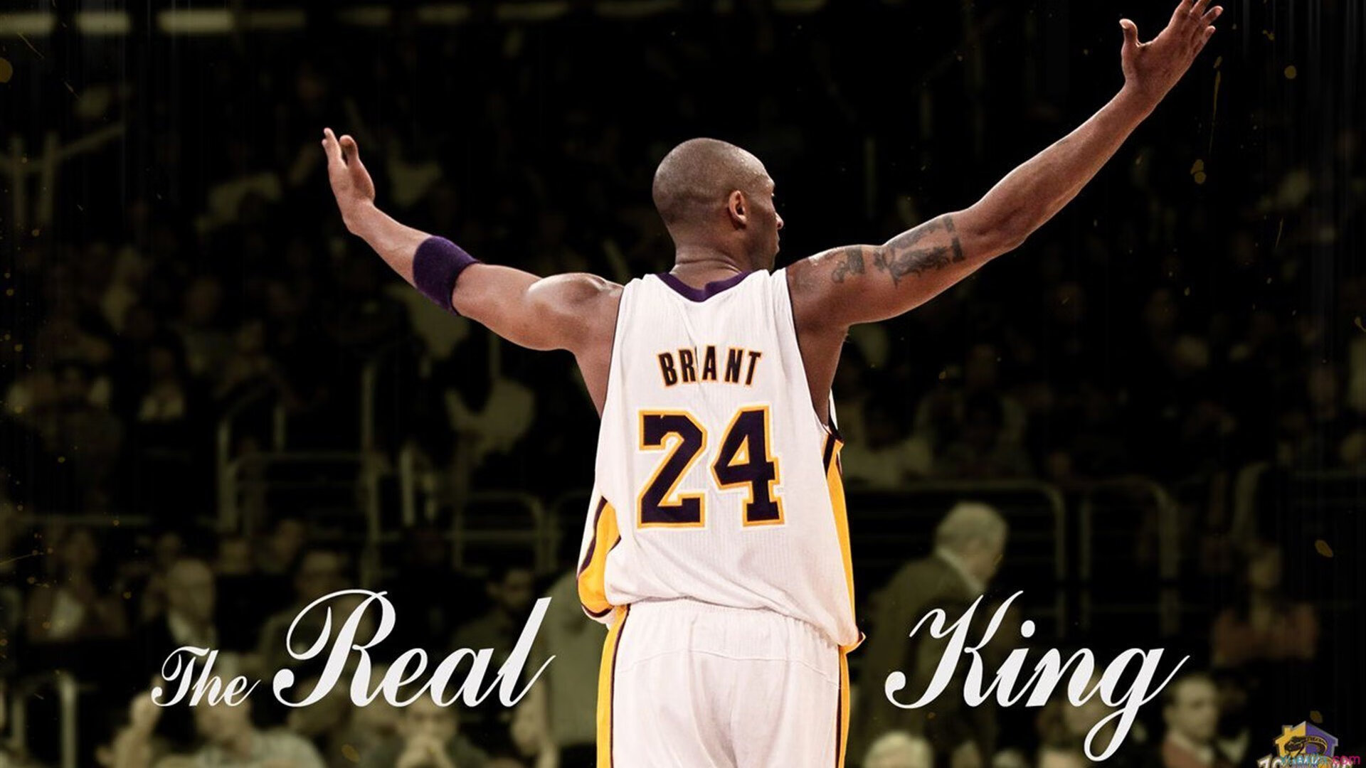 锡安化身胜负手撕裂防线，马刺末节狂潮一波流带走步行者